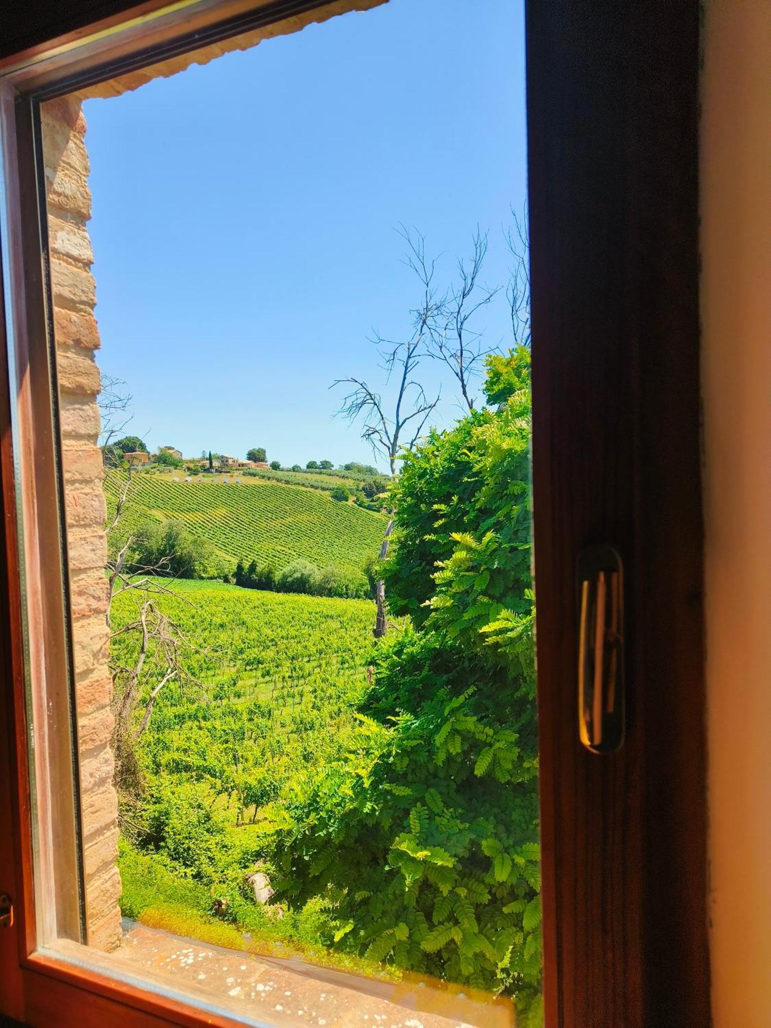 B&B Nel Vigneto Castelplanio Exterior photo